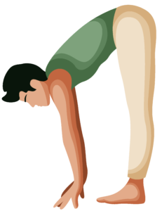 Person performing the Halfway Lift (Ardha Uttanasana) Yoga Pose