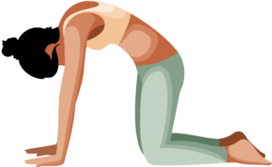 Person performing the Cat (Marjaryasana) Yoga Pose