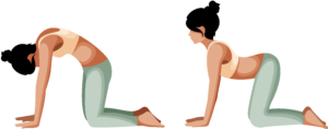 Marjaryasana-and-Bitilasana-300x118-1