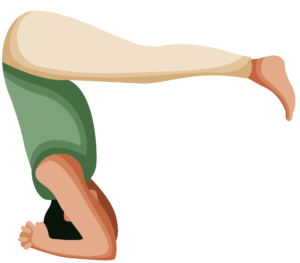 Person performing the Upward Staff (Urdhva Dandasana) Yoga Pose