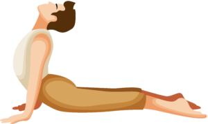 Person performing the Upward Facing Dog (Urdhva Mukha Svanasana) Yoga Pose